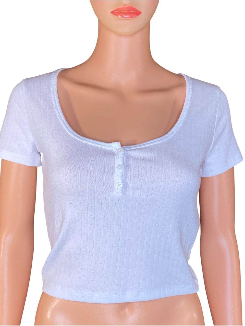 Hollister White Cropped Tee Short Sleeve Ribbed Stretchy Fabric Scoop Neckline